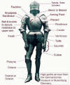 Gothic Armour - Click Here To Enlarge