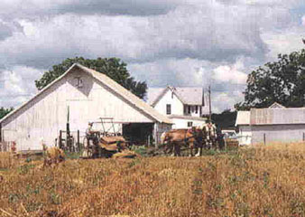 Binder working in oats, 1999