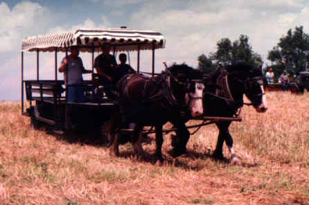 Shires on the people mover. July 1999.