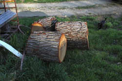 Anvil Logs