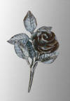 Click here to see Ironrose page